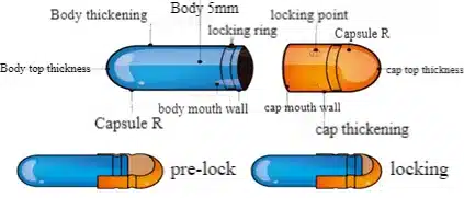 appaerance of capsule